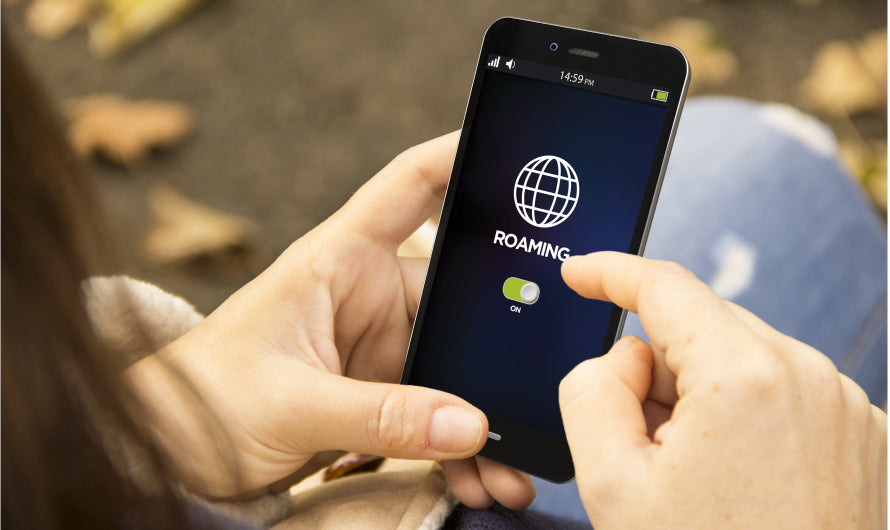 How to turn on data roaming on your cell phone?